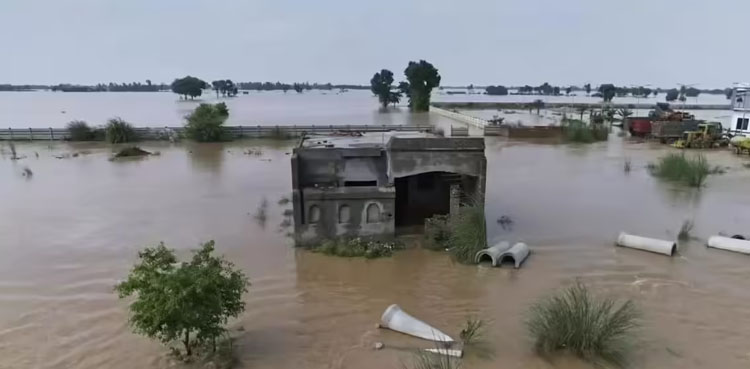 Punjab on high alert as Chenab, Ravi, Sutlej overflow