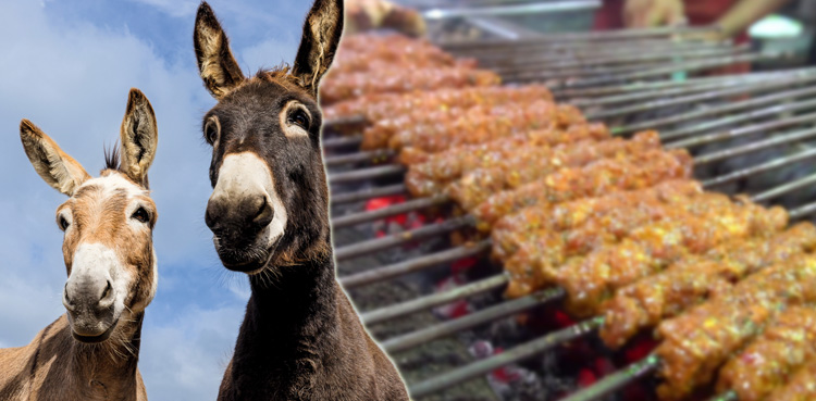 viral, viral video, donkey meat,