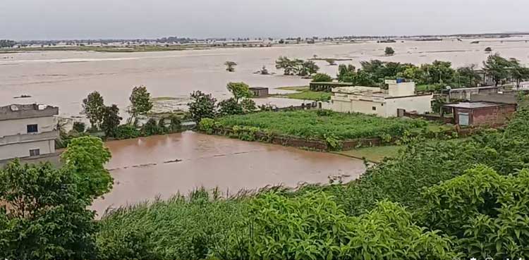 Punjab rivers in extreme flooding, Sialkot rainfall surpasses record