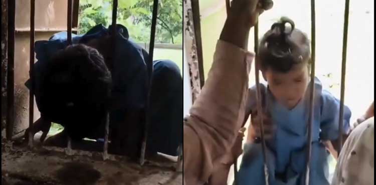 Student trapped, school, head stuck