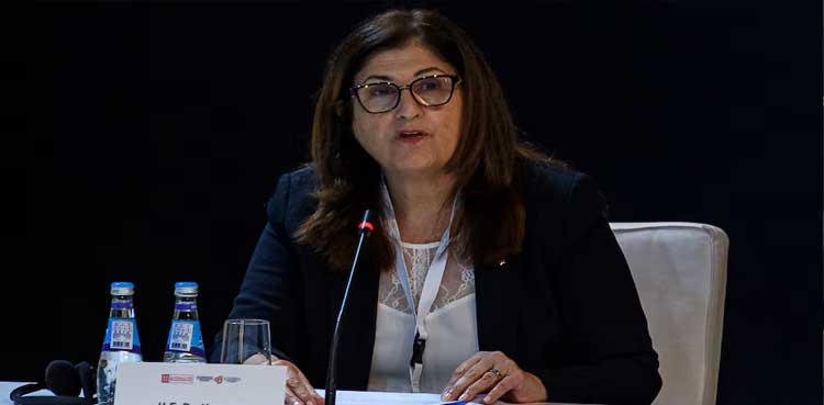 Push to recognise Palestinian state is clear message to Israel: Palestinian FM