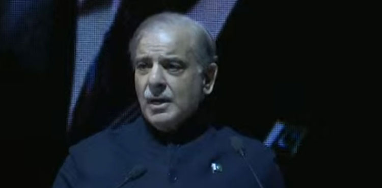 PM Sharif lauds overseas Pakistanis’ role in stabilising economy