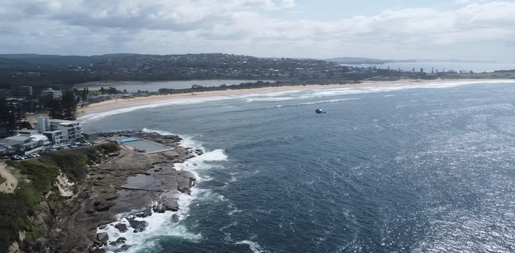 Surfer dies after shark bite at Sydney beach