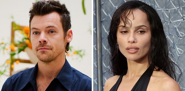 Is it official for Harry Styles & Zoe Kravitz?