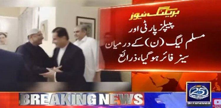 Ceasefire reached between PPP and PML-N after meeting with President Zardari