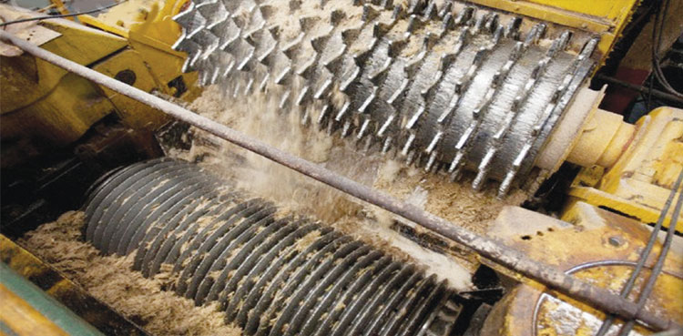 Sugar mills in Punjab begin crushing, prices likely to drop