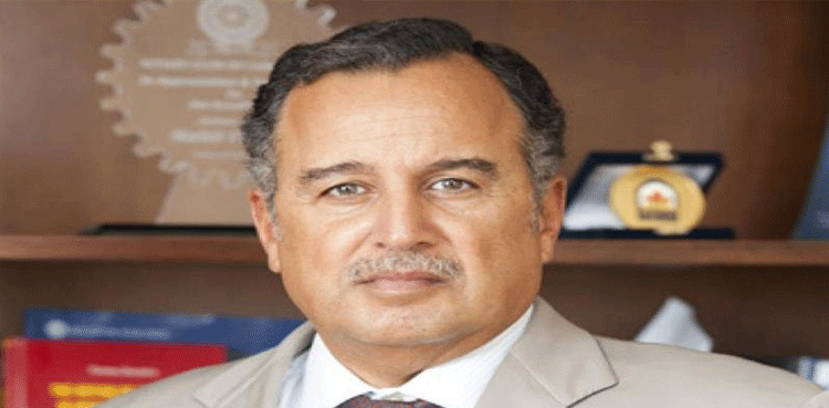 Arab foreign ministers name Nabil Fahmy as Arab League chief