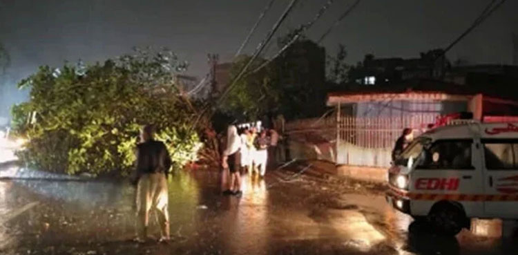 Karachi rain death toll jumps to 19, several injured