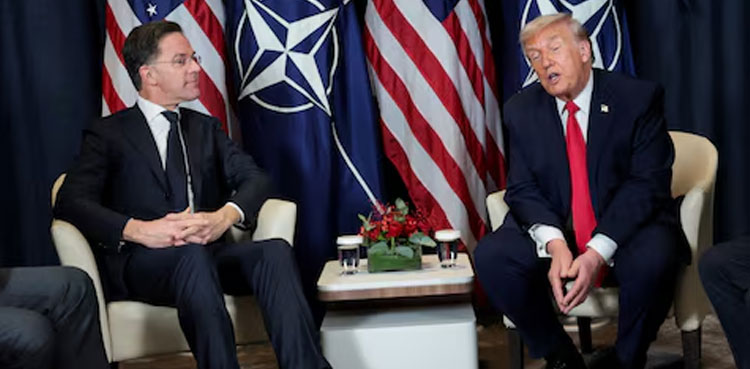 NATO alliance, bruised by Trump, considers end to annual summits