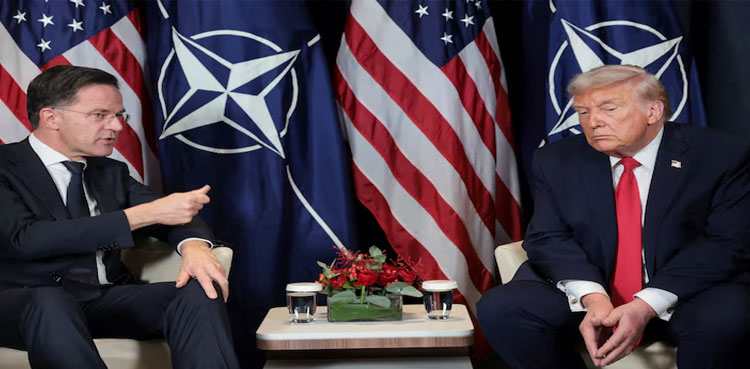 NATO, top Republicans question US troop withdrawal from Germany