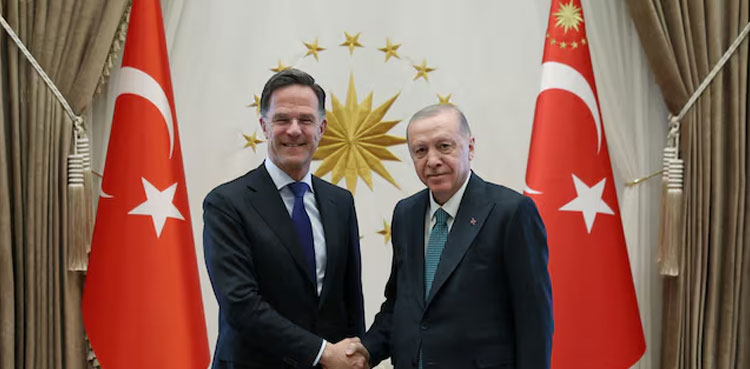 Turkey trying to revive Russia-Ukraine negotiations, Erdogan tells NATO chief